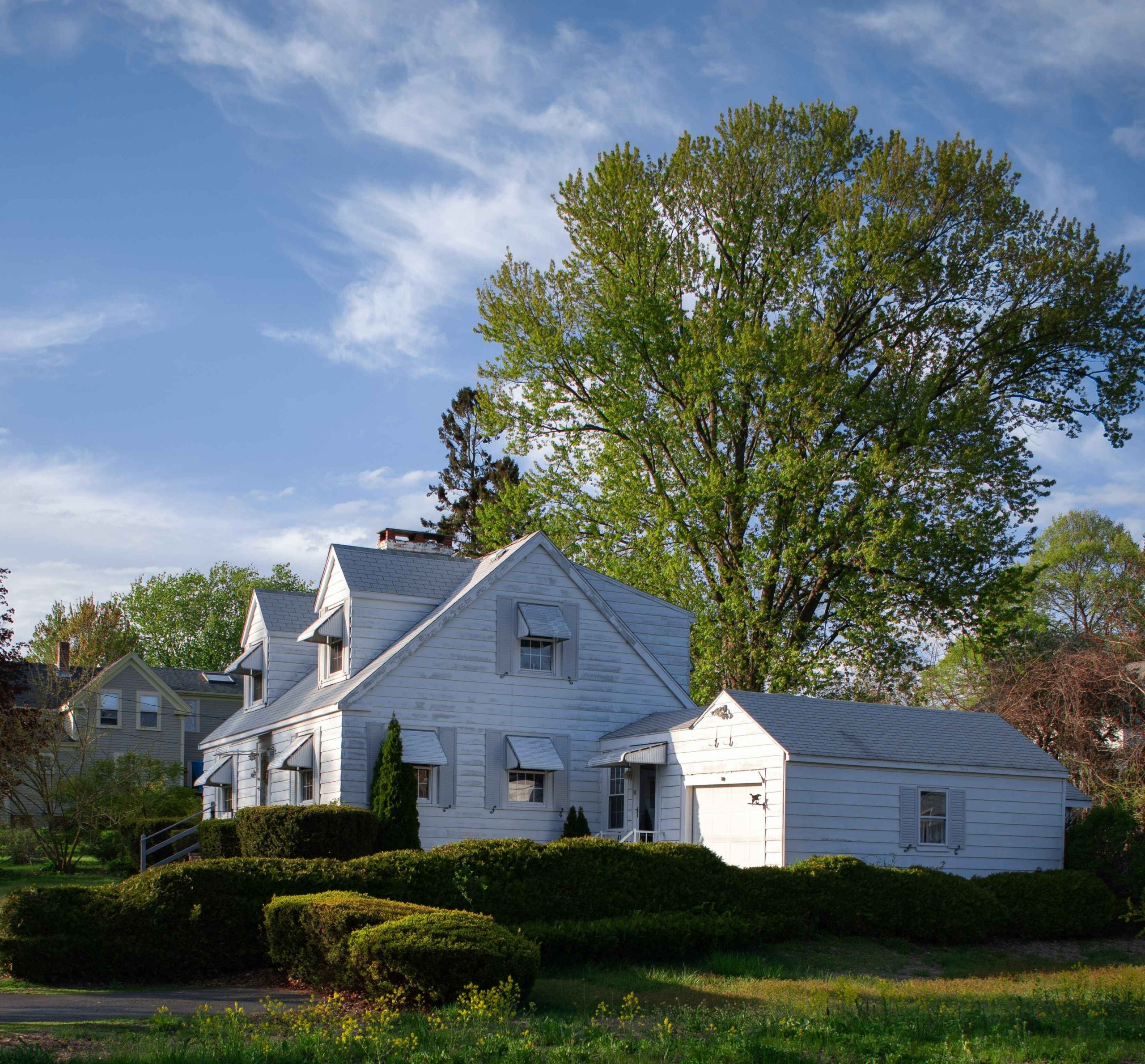 White cape-style home with a garage and large shade tree