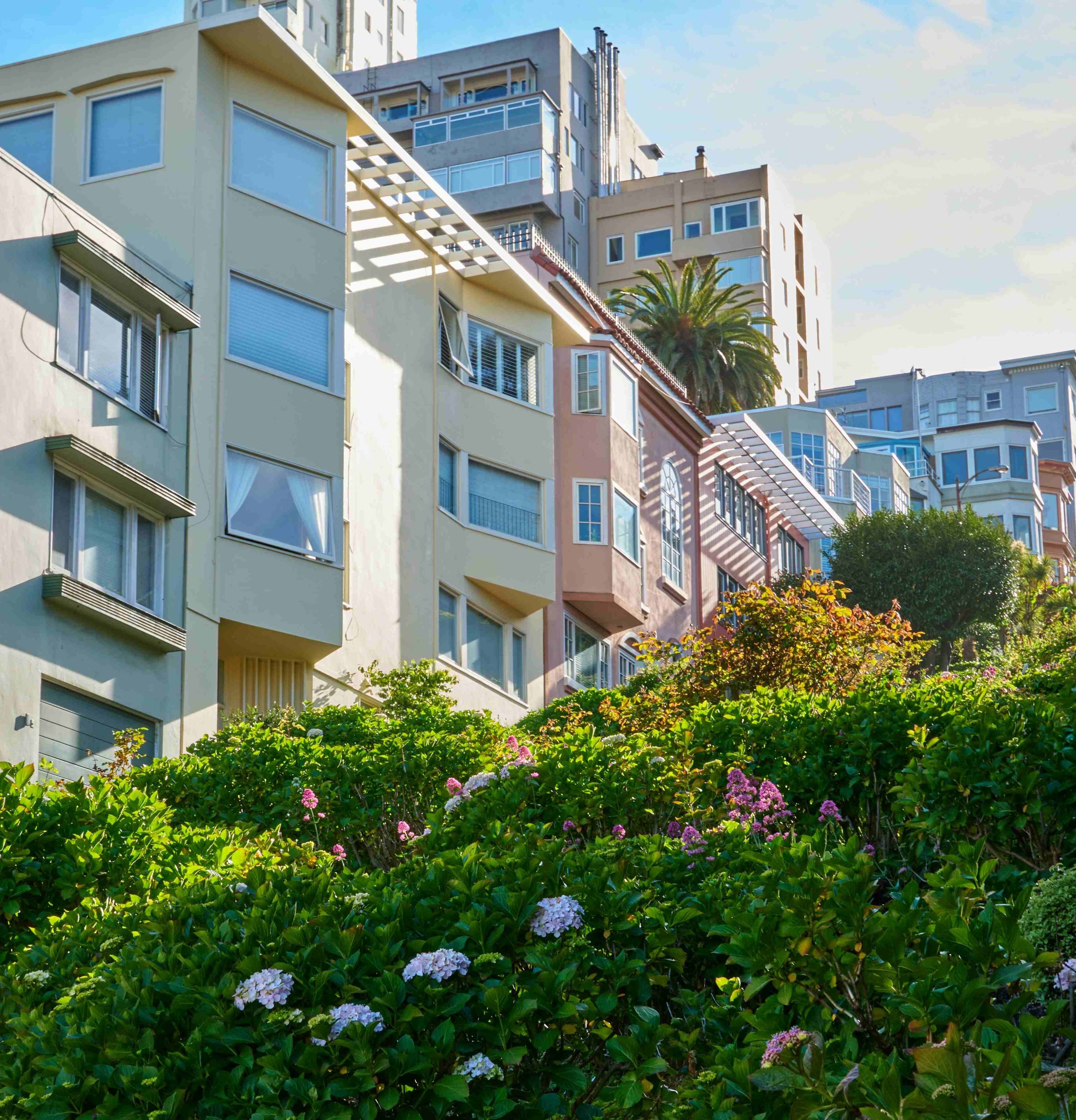 Colourful hillside apartments above flowering hydrangea gardens